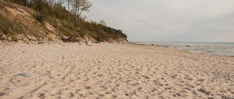 beach_pickleball