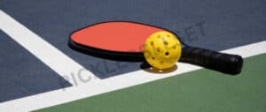 best-panel-sound-pickleball-paddles-2023